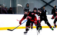 Boston Bruins Masco Youth Hockey PASS Clinic