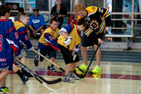Somerville Street Hockey Clinic (October 7, 2013)
